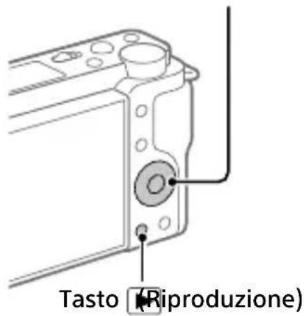 SONY ZVE10L - Visualizzazione - 1