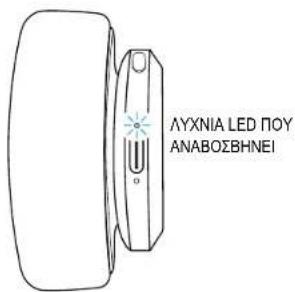 FRESH N REBEL Clam Elite - 36