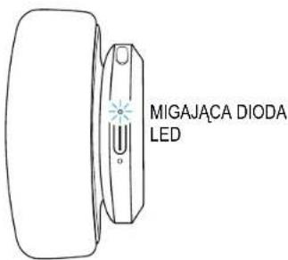 FRESH N REBEL Clam Elite - 8