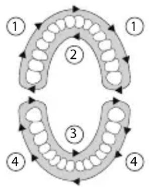 SILKN ToothWave H7001 - Uygulama plani - 1