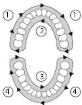 SILKN ToothWave H7001 - Behandlungsplan - 1