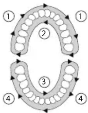 SILKN ToothWave H7001 - Behandelingsschema - 1
