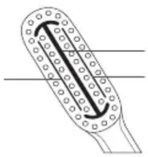 SILKN ToothWave H7001 - Bürstenkopf von Silk'n ToothWave - 1