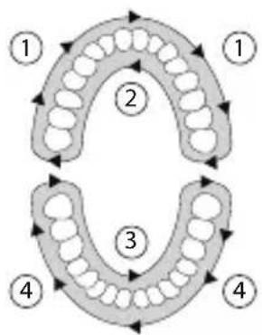 SILKN ToothWave H7001 - Πρόγραμα θεραπείας - 1