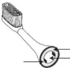 SILKN ToothWave H7001 - Nettoyage de la Brosse à dents - 2
