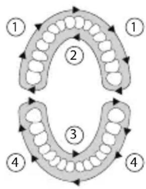 SILKN ToothWave H7001 - Treatment plan - 1
