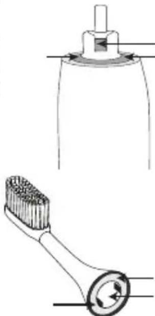 SILKN ToothWave H7001 - Dis fircasinin temizlenmesi - 1