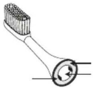SILKN ToothWave H7001 - Cleaning the toothbrush - 3