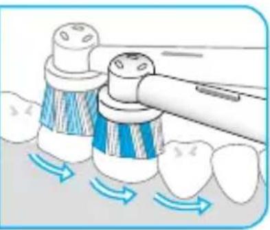 ORAL-B Pro 3 3900 - Internet: - 6