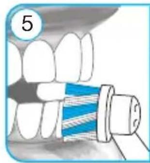 ORAL-B Pro 3 3900 - Internet: - 4