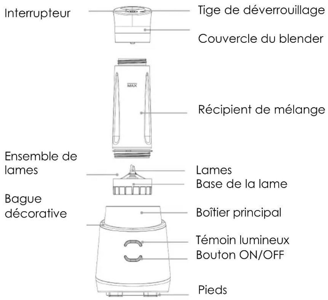 THOMSON THBL962V - Mise au rebut et responsabilité environnementale : - 1