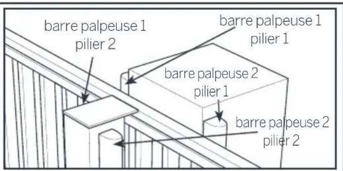 THOMSON 510044 - Entre les barreaux d'un portail ajouré et le pilier - 2