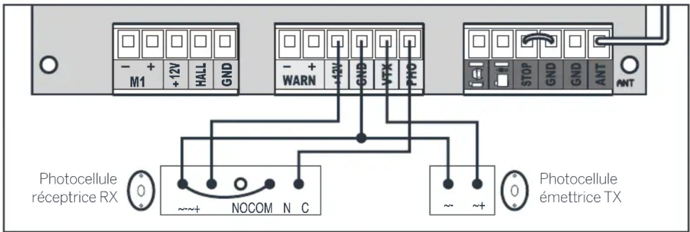 THOMSON 510044 - Fixation des photocellules : - 2