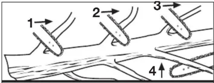 MILWAUKEE 49162720 - Ébranchage - 1