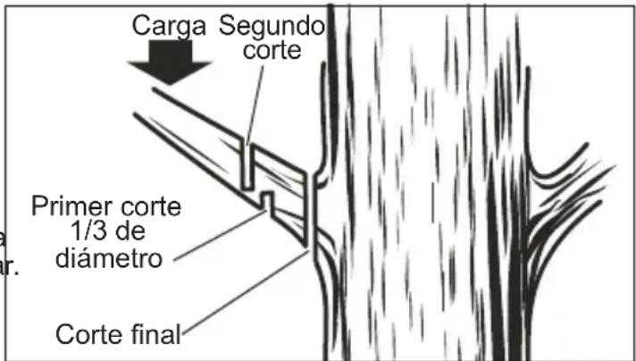 MILWAUKEE 49162720 - ADVERTENCIA Si las ramas que van a podarse no peuvent alcanzarse con la sierra de pertiga, contrate a un professionnel para que realice la PODA. El no hacerlo pueda provocar lesiones personales graves. - 1