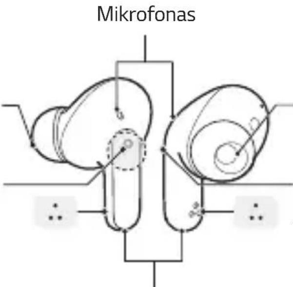 LG Tone Free DFP5 - Ausinès - 1