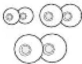 LG Tone Free DFP8 - Product Components - 2