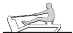 Life Fitness Row HX - Fréquence d'entrainment - 2