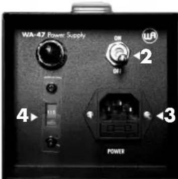 Warm Audio WA47 - XLR-Ausgang - 2