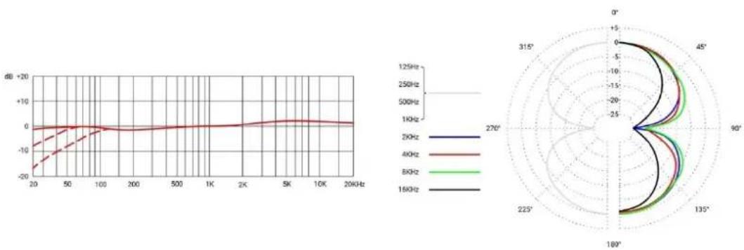 SE Electronics RNT - Limpiar el micrófono - 5