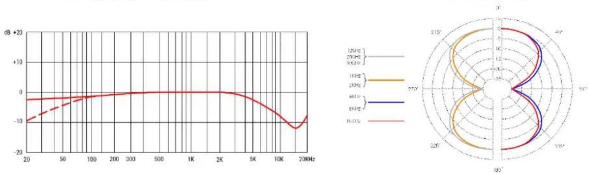 SE Electronics RNT - Cleaning the microphone - 6