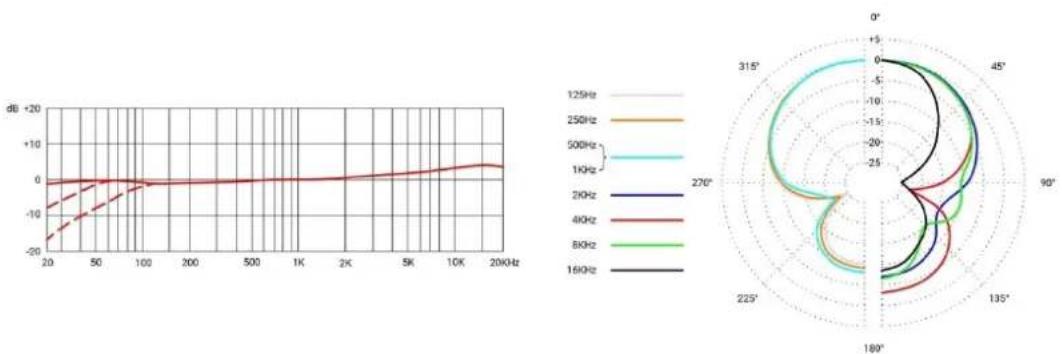SE Electronics RNT - 麦克风的保养 - 4