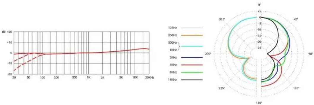 SE Electronics RNT - Очистка микрофона - 4