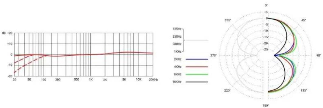 SE Electronics RNT - Очистка микрофона - 5