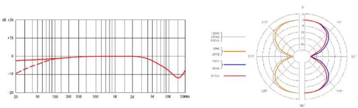 SE Electronics RNT - Nettoyage du microphone - 2