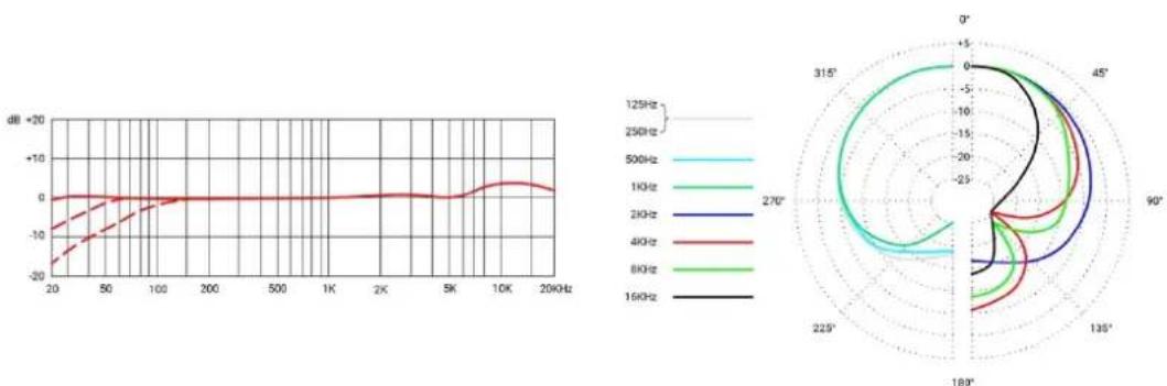 SE Electronics RNT - Reinigung des Mikrofons - 3