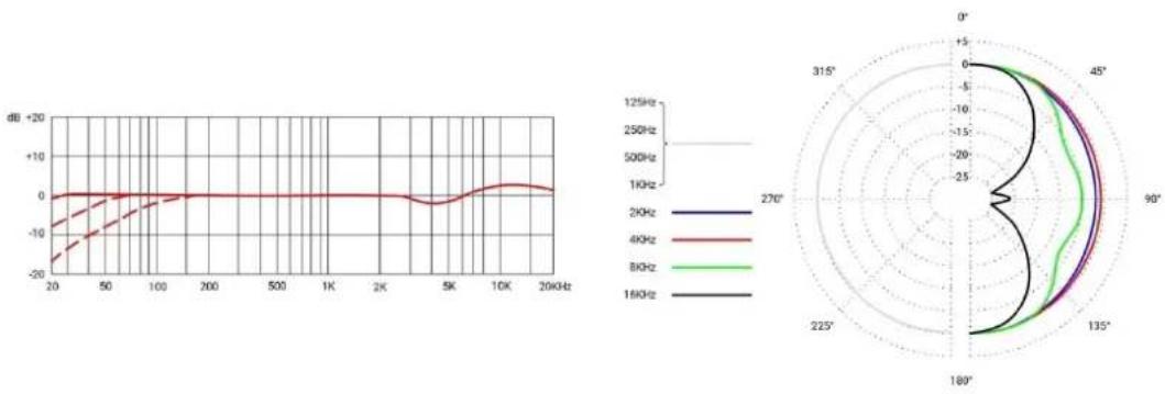 SE Electronics RNT - Очистка микрофона - 1