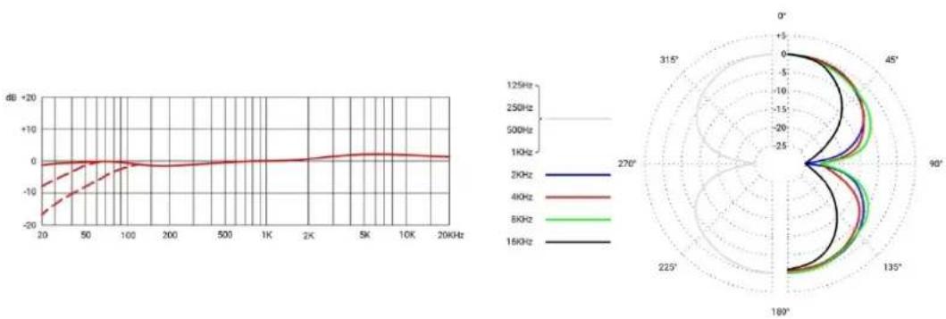 SE Electronics RNT - Supporto - 4