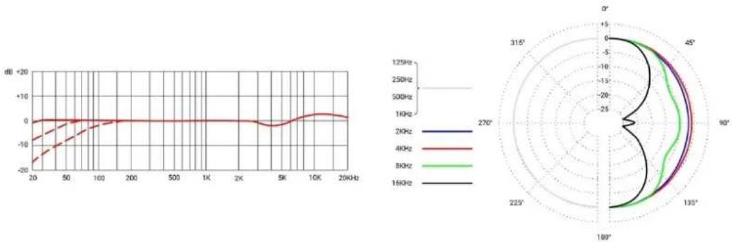 SE Electronics RNT - Reinigung des Mikrofons - 1