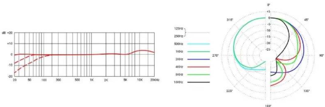 SE Electronics RNT - Pulizia del microfono - 3