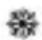 REMINGTON Hydraluxe Pro EC9001 - TIPS - 1