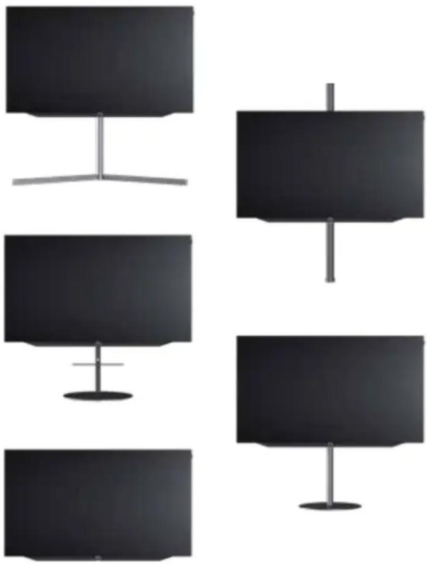LOEWE Bild v.65 - Corps étrangers - 2