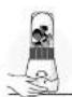 MAGIC BULLET Kitchen Express - Utilisation de l'appareil : gobelet et lame d'extraction. - 5
