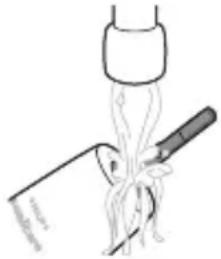PHILIPS Sonicare 1100 Series HX3641 - Rukovat zubnej kefky - 1
