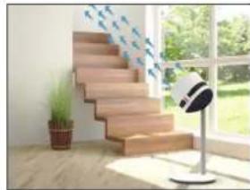 BONECO F230 - 복층 구조 - 2