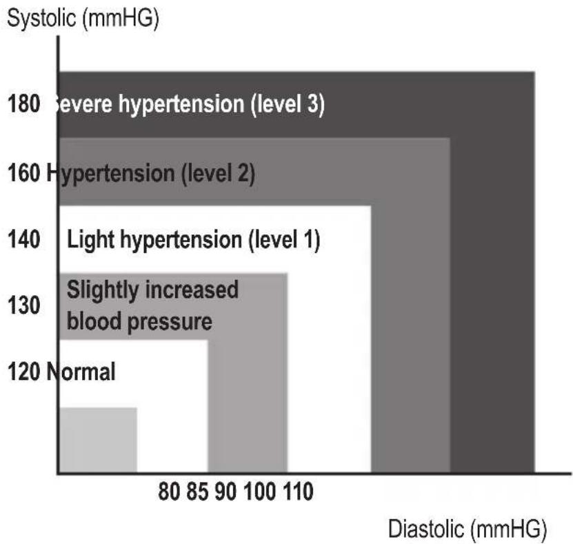 ProfiCare PCBMG 3019 - Assessing High Blood Pressure for Adults - 1