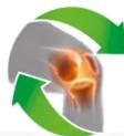 REVITIVE Circulation Booster ArthritisKnee - 1