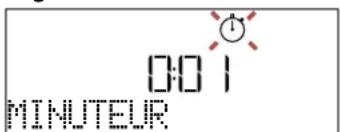 BAUKNECHT EMDK7 CT638 PT - MINUTEUR - 1