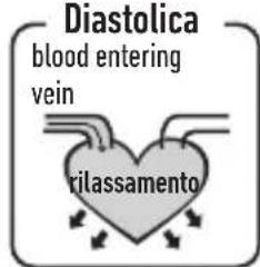 Diastolica blood entering vein rilassamento