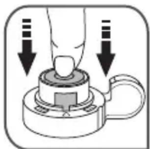 TEFAL Clipso Minut' Perfect P4624931 - Slik rengjør du funksjonsventilen (A): - 1