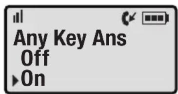 Clarity Professional XLC3.4 - - Any Key Answer - 2