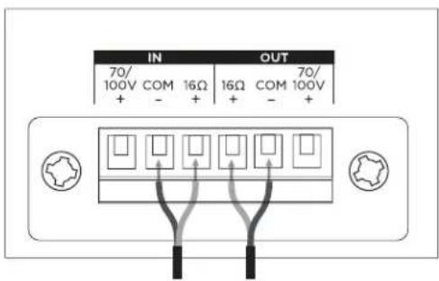 BOSE DesignMax DM2CLP - Diagramas de conexión - 2
