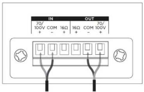 BOSE DesignMax DM2CLP - Connection Diagrams - 1