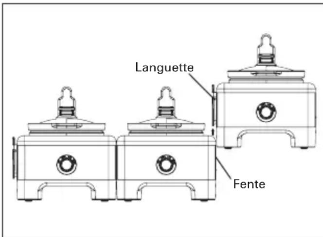 Languette Fente