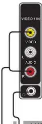 VIDEO 1 IN VIDEO L AUDIO R