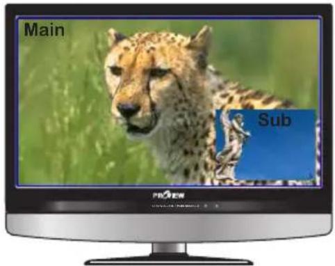 Main Sub
